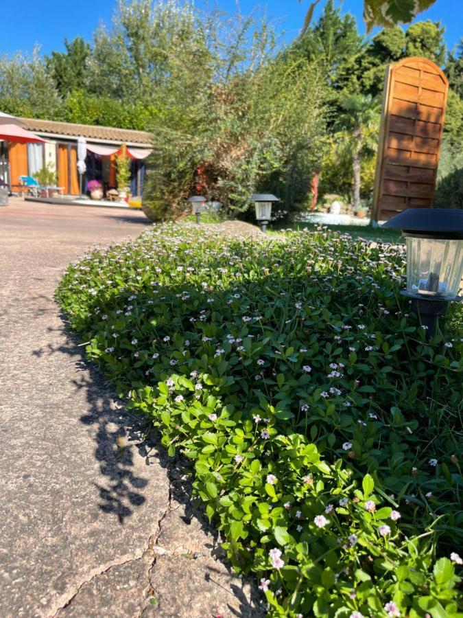 Mas De La Butte Blanche Bed & Breakfast Orgon Exterior photo